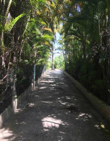 #198 - Casa para Venda em Bertioga - SP