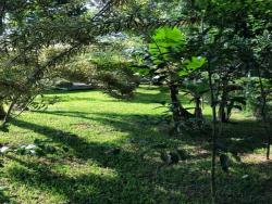 Casa em condomínio para Venda em Bertioga - 4