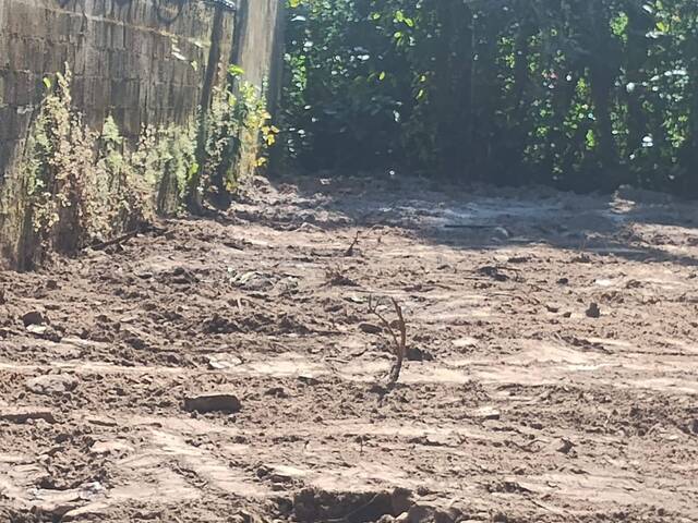 Área para Venda em Bertioga - 5
